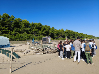 Torre del Cerrano - Escursione didattica al nido della tartaruga Caretta caretta